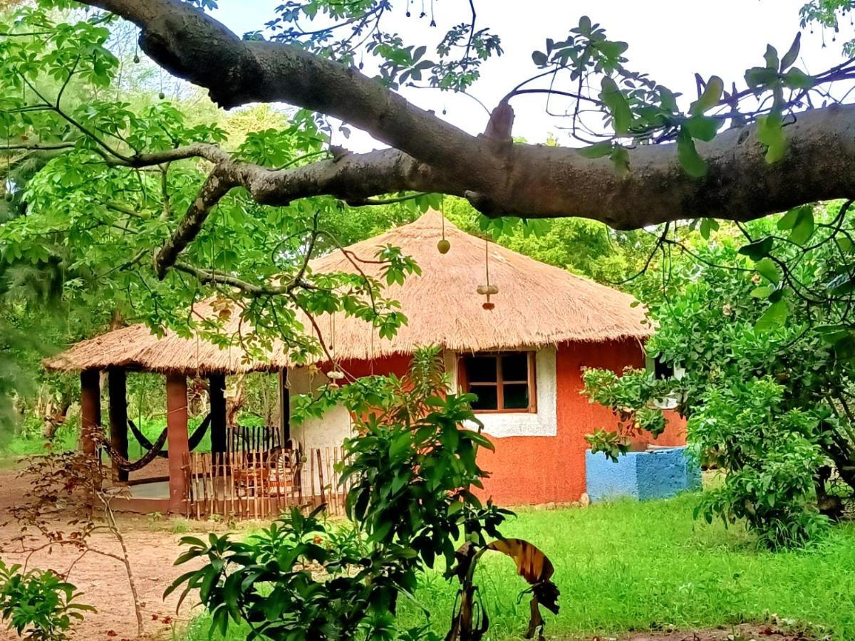 Naturubuntu Kafountine Exterior photo