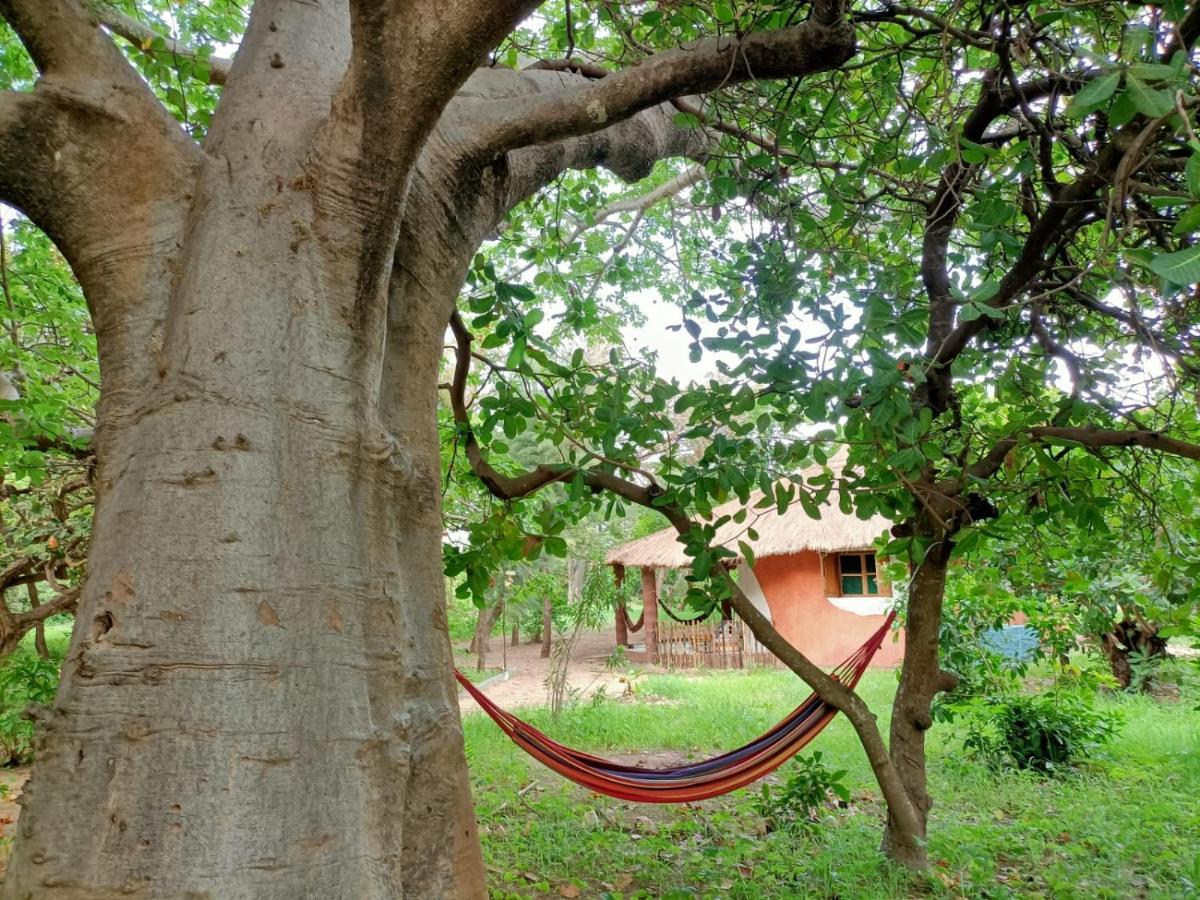 Naturubuntu Kafountine Exterior photo